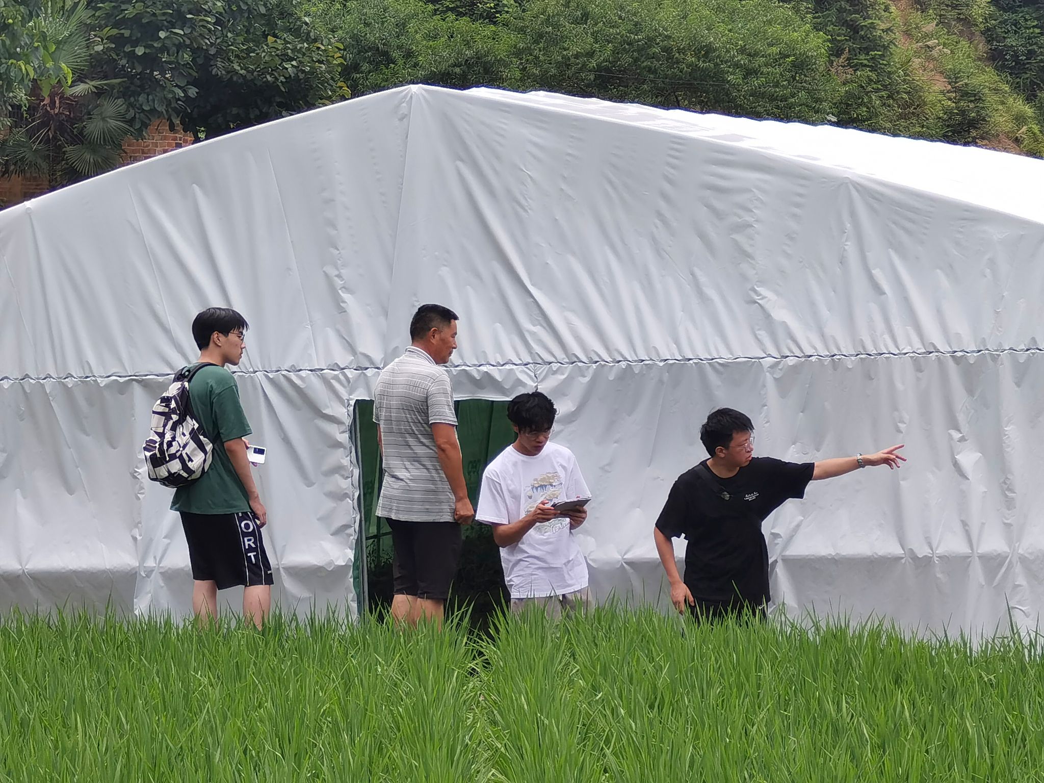 ok138cn太阳集团