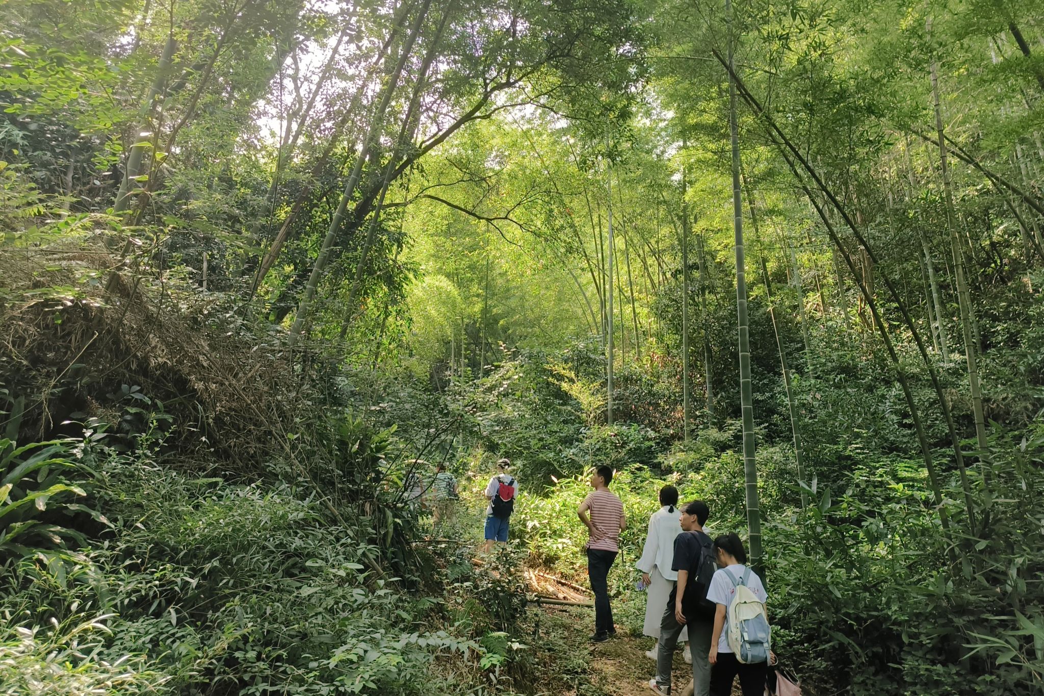 ok138cn太阳集团